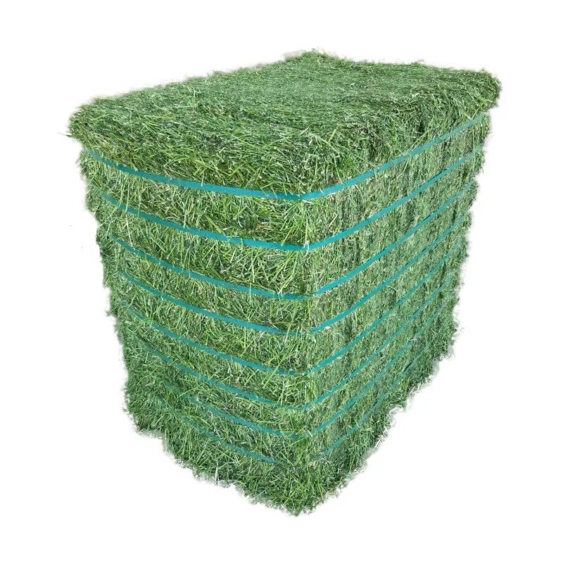 High Standard Dry Alfafa Hay For Animal Feed Alfalfa