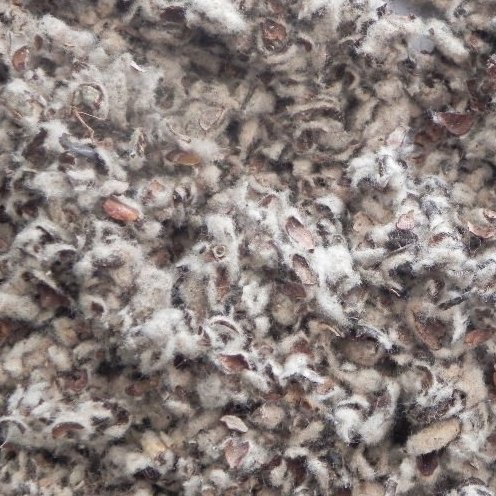 Cottonseed meal/ cotton seed hull high quality best price from Brazil