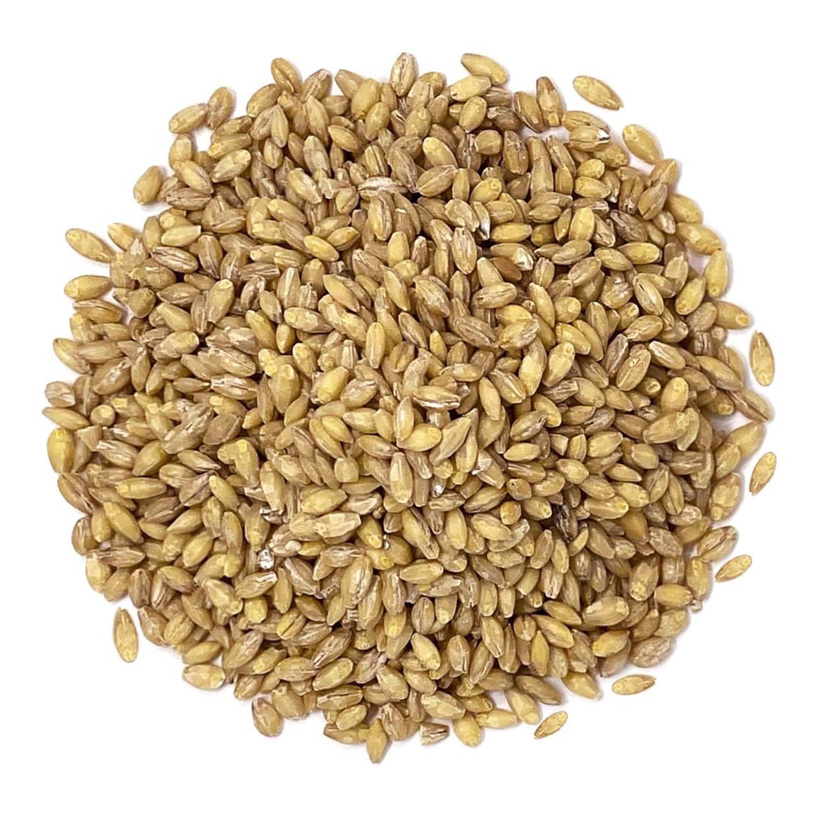 Factory direct sales Pure Natural high quality Bulk animal feed Malted Barley for livestock nutrition Malted Barley available