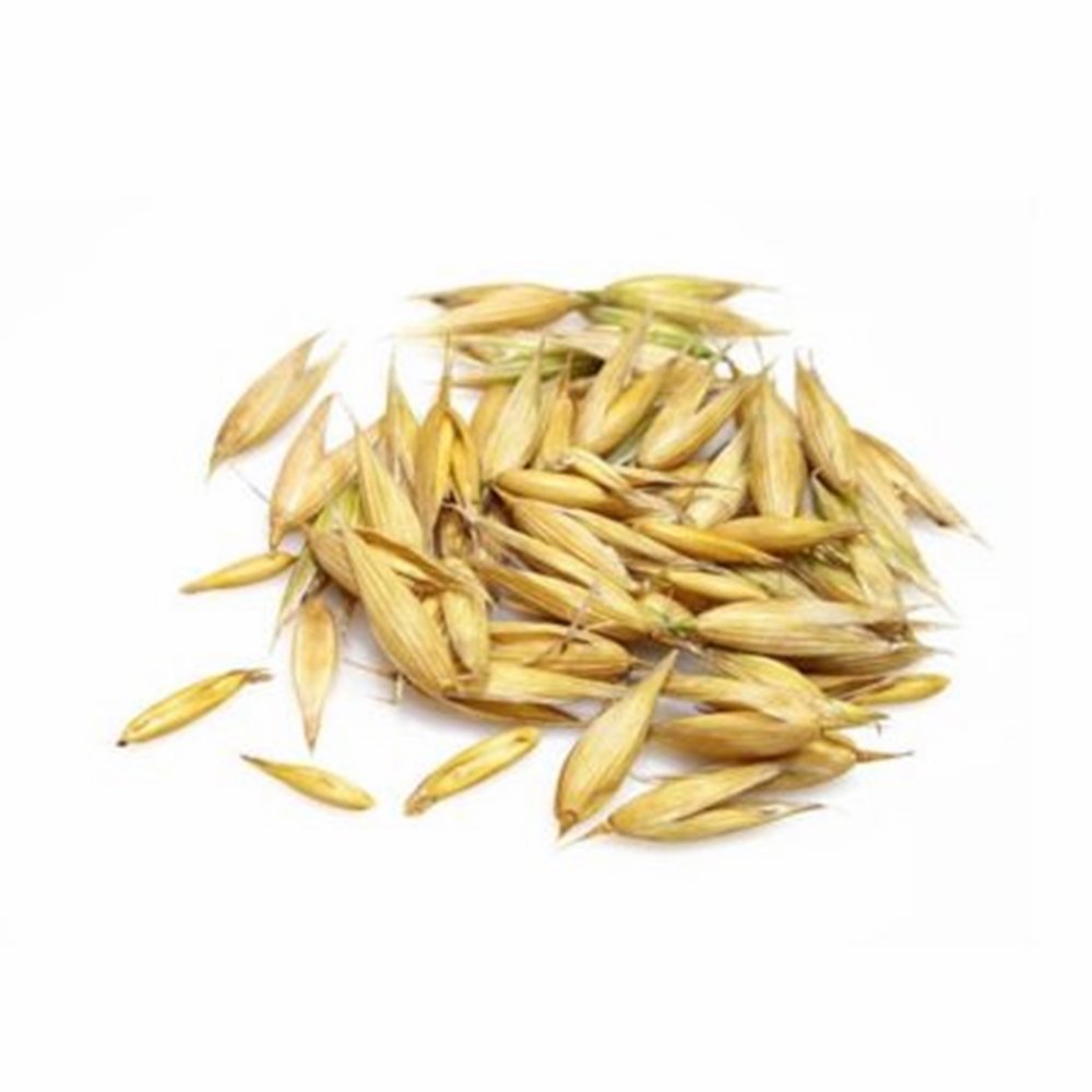 Factory direct sales Pure Natural high quality Bulk animal feed Malted Barley for livestock nutrition Malted Barley available
