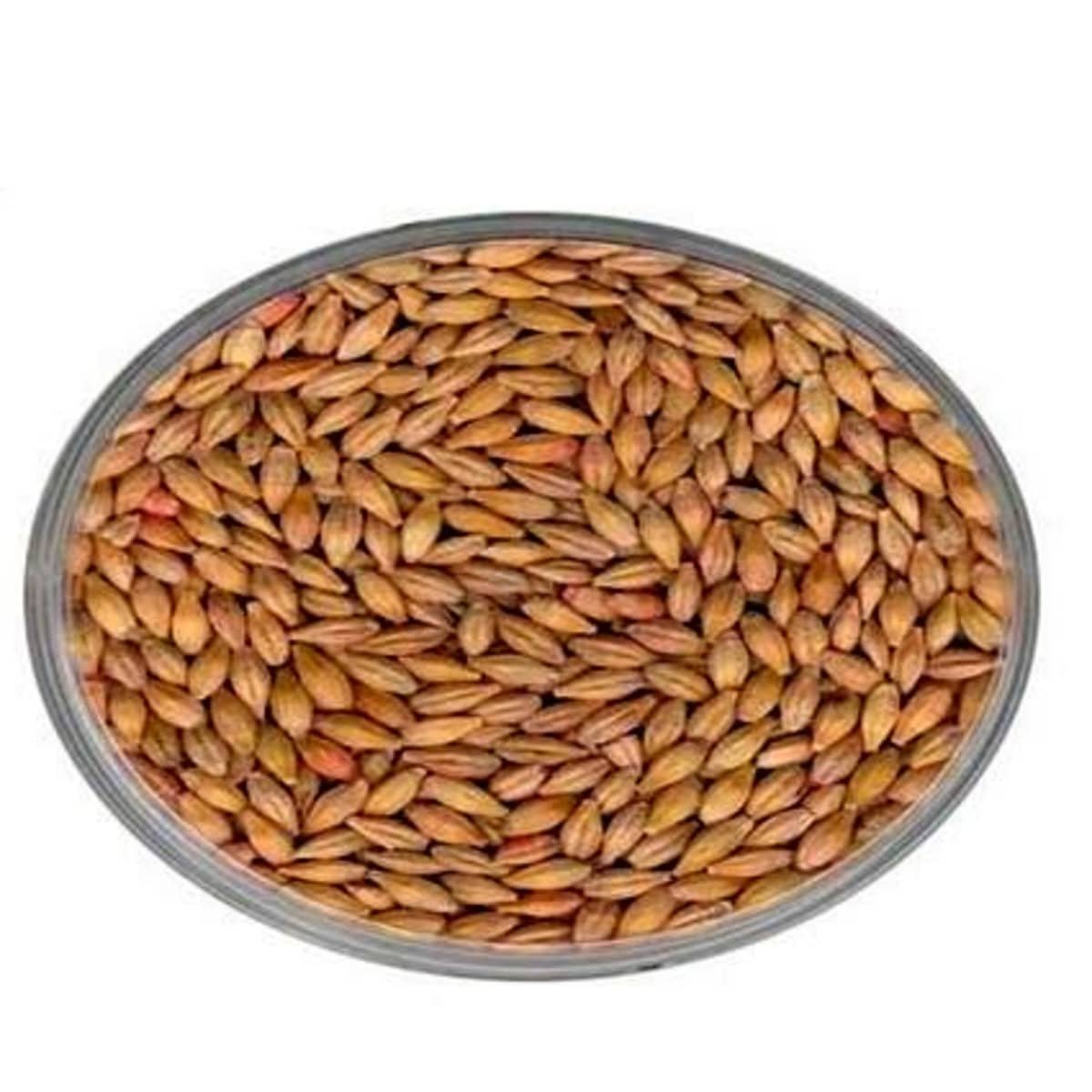 Factory direct sales Pure Natural high quality Bulk animal feed Malted Barley for livestock nutrition Malted Barley available
