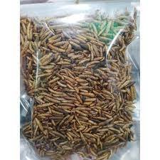 DRIED MEALWORMS MEALWORMS BLACK SOLDIER FLY LARVAE from Vietnam Akina