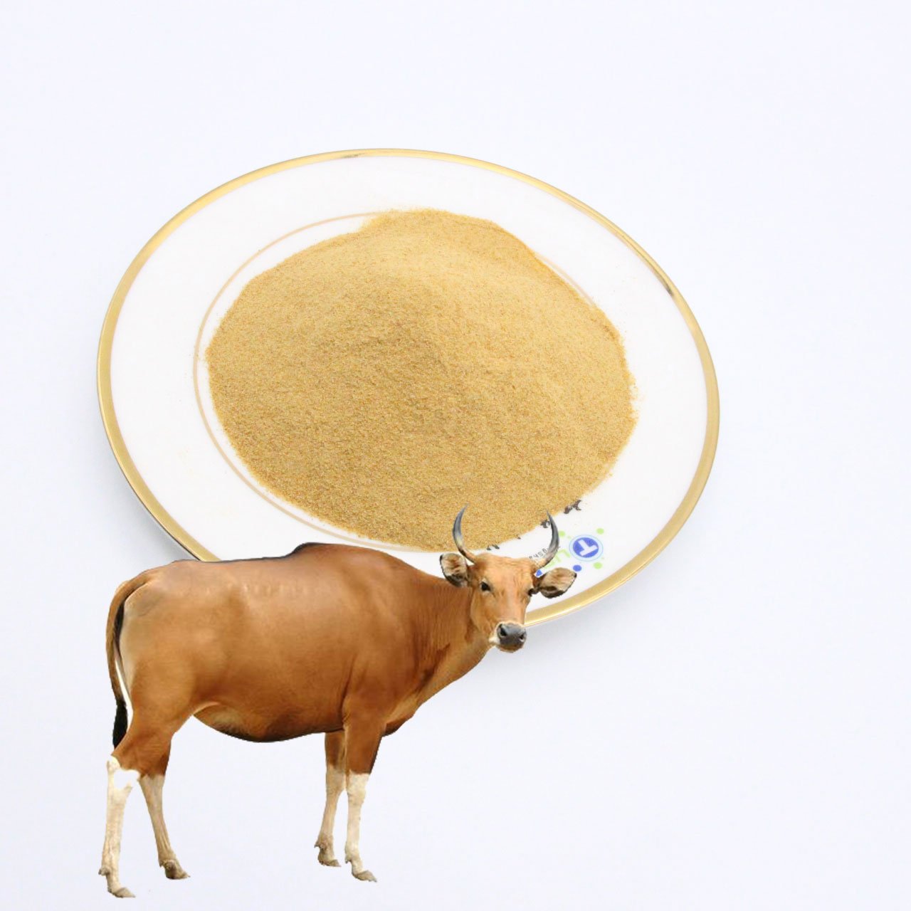 custom for nutrition cow brewers Bulk brewer's high fiber Animal feed additives Food grade Promote Nutrition yeast for beer