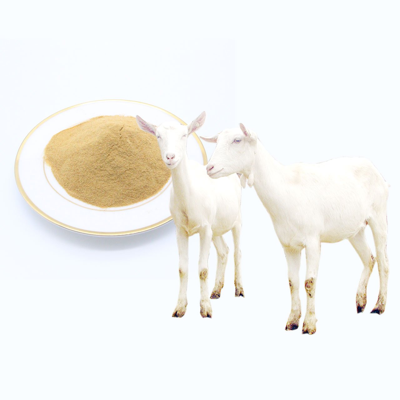 custom for nutrition cow brewers Bulk brewer's high fiber Animal feed additives Food grade Promote Nutrition yeast for beer