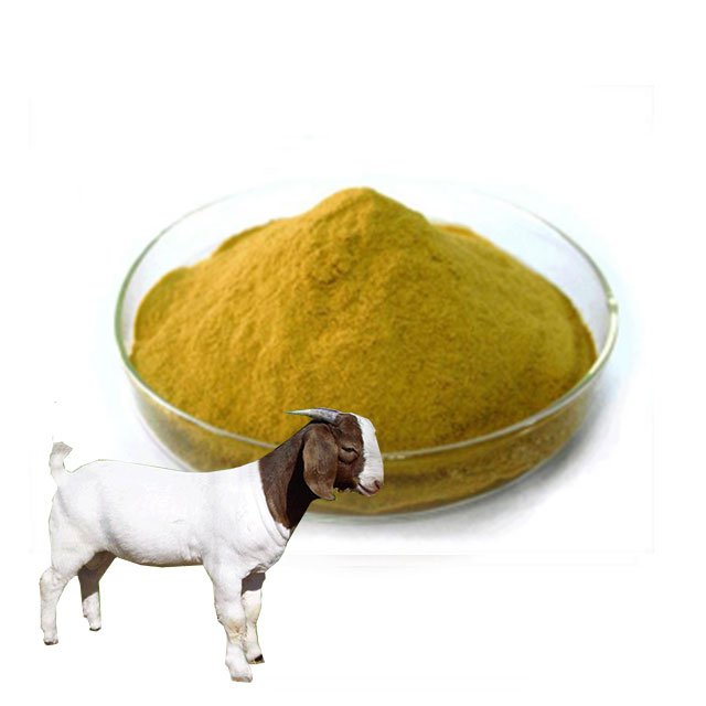 custom for nutrition cow brewers Bulk brewer's high fiber Animal feed additives Food grade Promote Nutrition yeast for beer