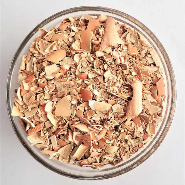 DISCOUNT PRICE Dried Crab Shell Powder For Great Fertilizer And Animal Feed Best Supplier From Vietnam