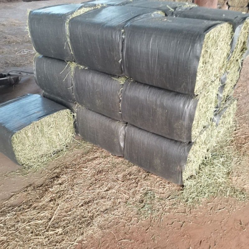China Pet Dried Food Alfalfa Hay For Animal Feed