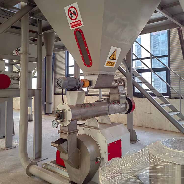 Commercial Animal Feed Machine Ring Die Poultry Feed Pellet Press Machine Pig Cattle Feed Pellet Mill Machinery India
