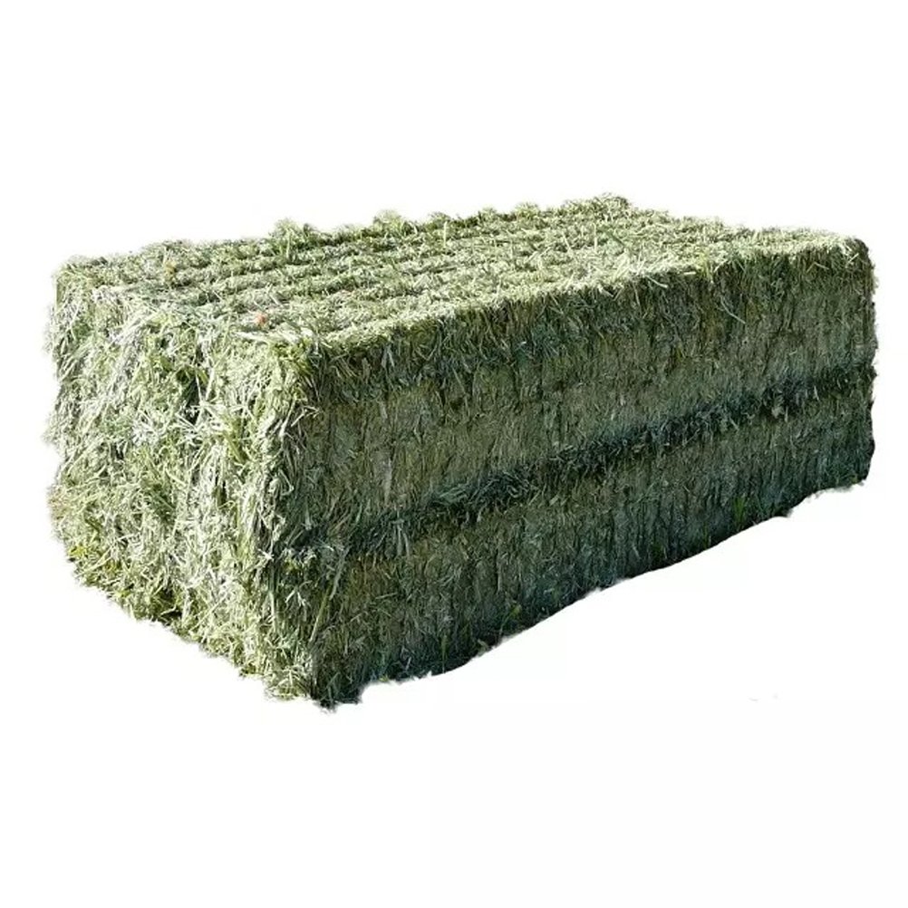 Cheap Top Quality Alfalfa Hay for Animal Feeding Stuff Alfalfa hay/Timothy hay at very cheap price for ale