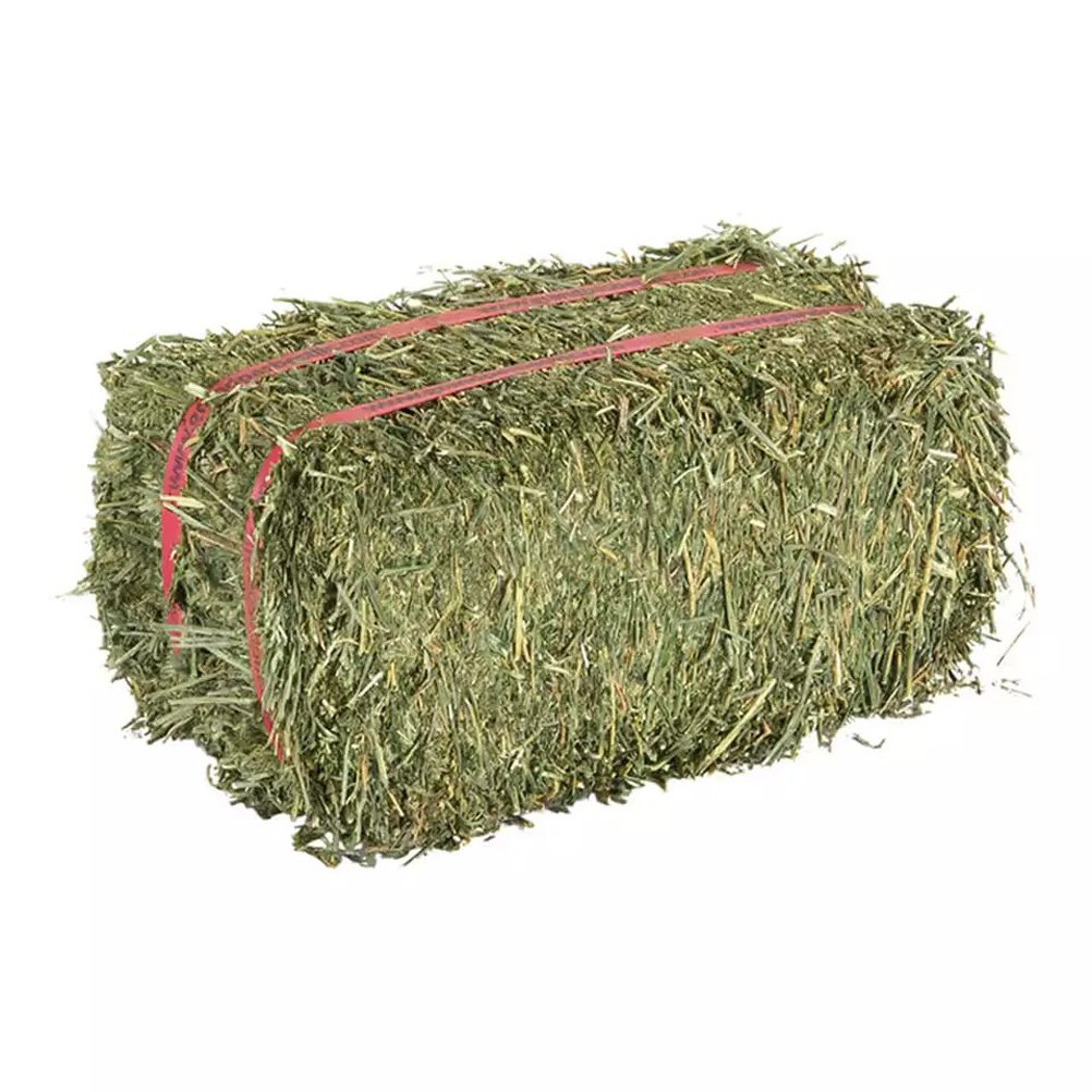 Cheap Top Quality Alfalfa Hay for Animal Feeding Stuff Alfalfa hay/Timothy hay at very cheap price for ale