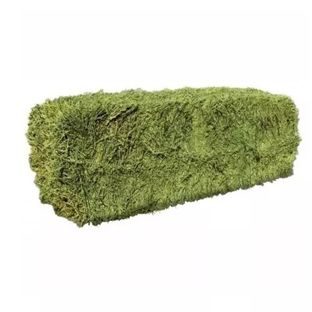 Cheap Top Quality Alfalfa Hay for Animal Feeding Stuff Alfalfa hay/Timothy hay at very cheap price for ale