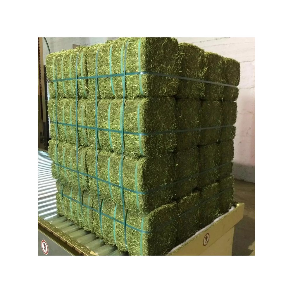 Cheap Top Quality Alfalfa Hay for Animal Feeding Stuff Alfalfa hay/Timothy hay at very cheap price for ale