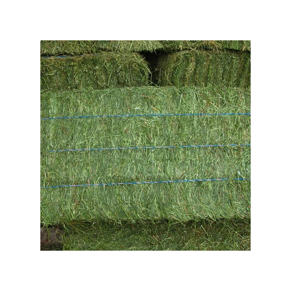 Cheap Top Quality Alfalfa Hay for Animal Feeding Stuff Alfalfa hay/Timothy hay at very cheap price for ale