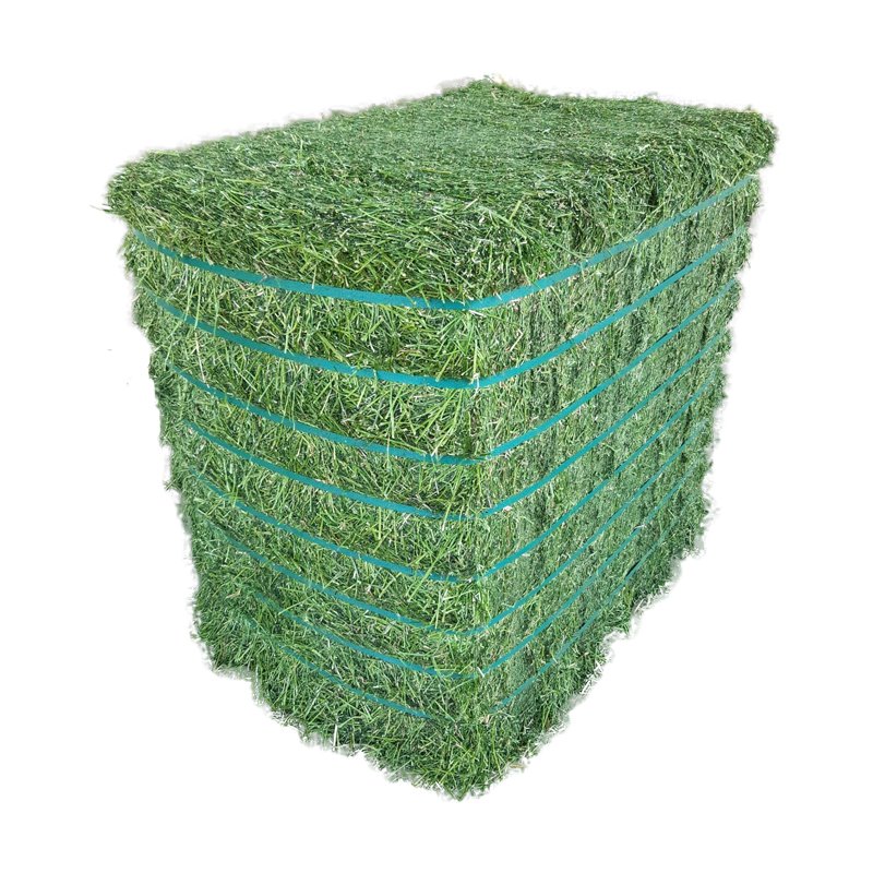 Bulk Top Grade Alfalfa For Animal Feed / Alfalfa Hay From Thailand For Export