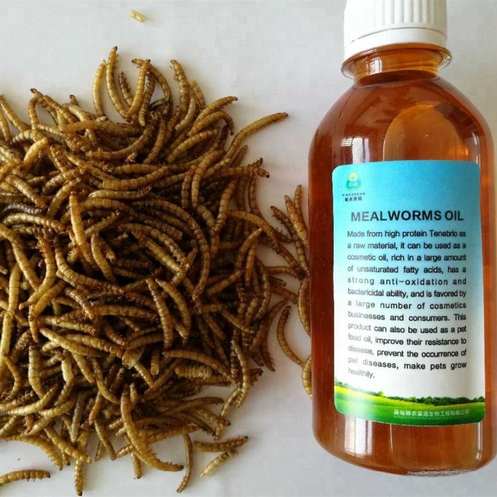 chicken feed Yellow dry Dried Tenebrio molitor Mealworm Feed for animal feed
