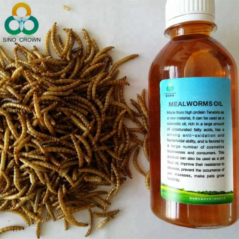 chicken feed Yellow dry Dried Tenebrio molitor Mealworm Feed for animal feed