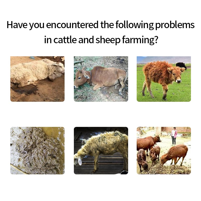 Hot selling treatment for cattle and sheep diseases unblocking gastrointestinal tract mixed feed additives