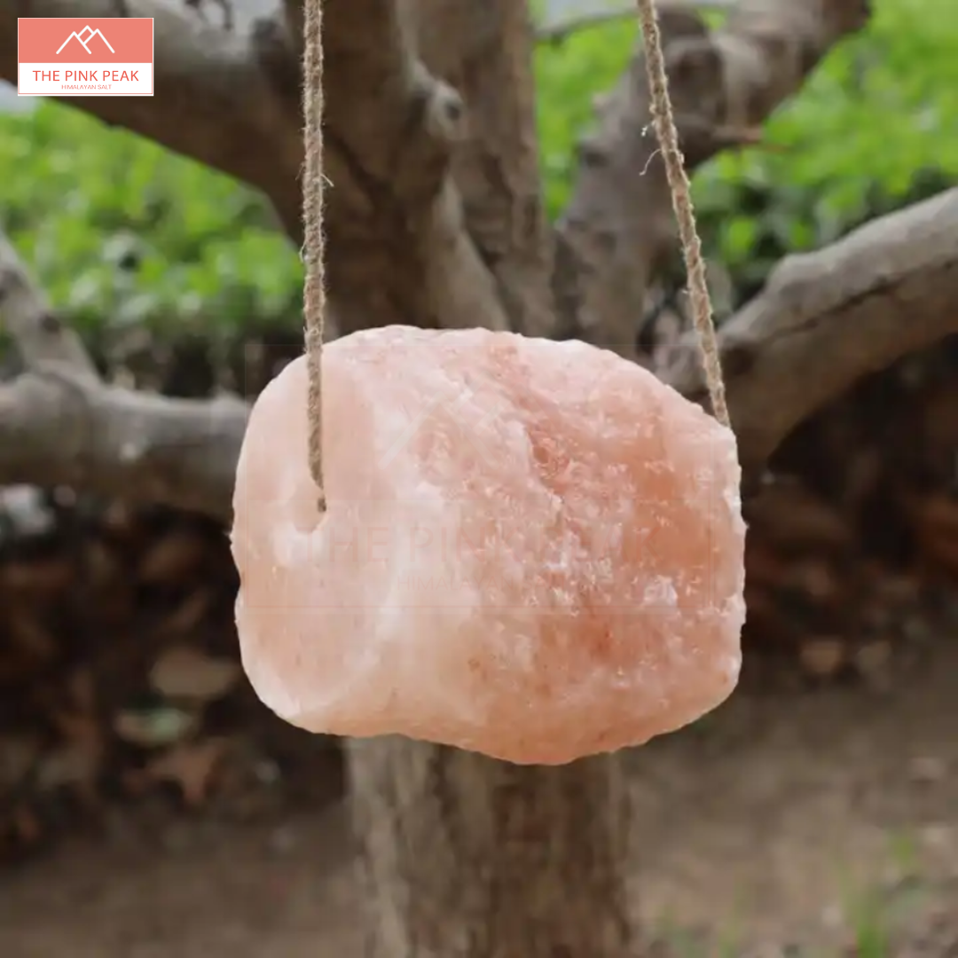 Buy Himalayan Licks Salt Rich In Nutrients Minerals Himalayan Pink Animal Salt Lick Feed With Rope
