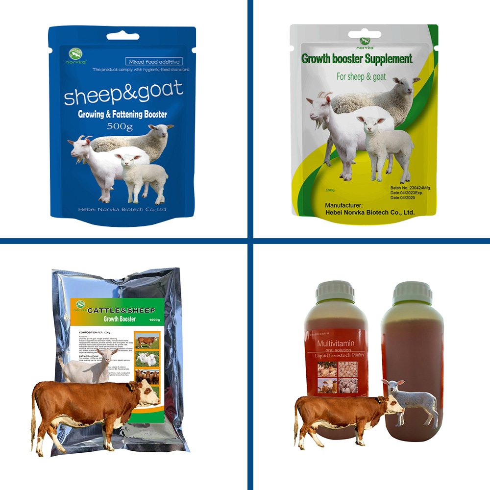 sheep&goat cattle growth booster feed food fattening cattle sheep animal booster for livestock quick growth