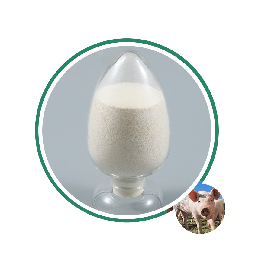 Dl-methionine Animal Feed Grade Amino Acids DL Methionine 99% for Poultry Feed Supplement