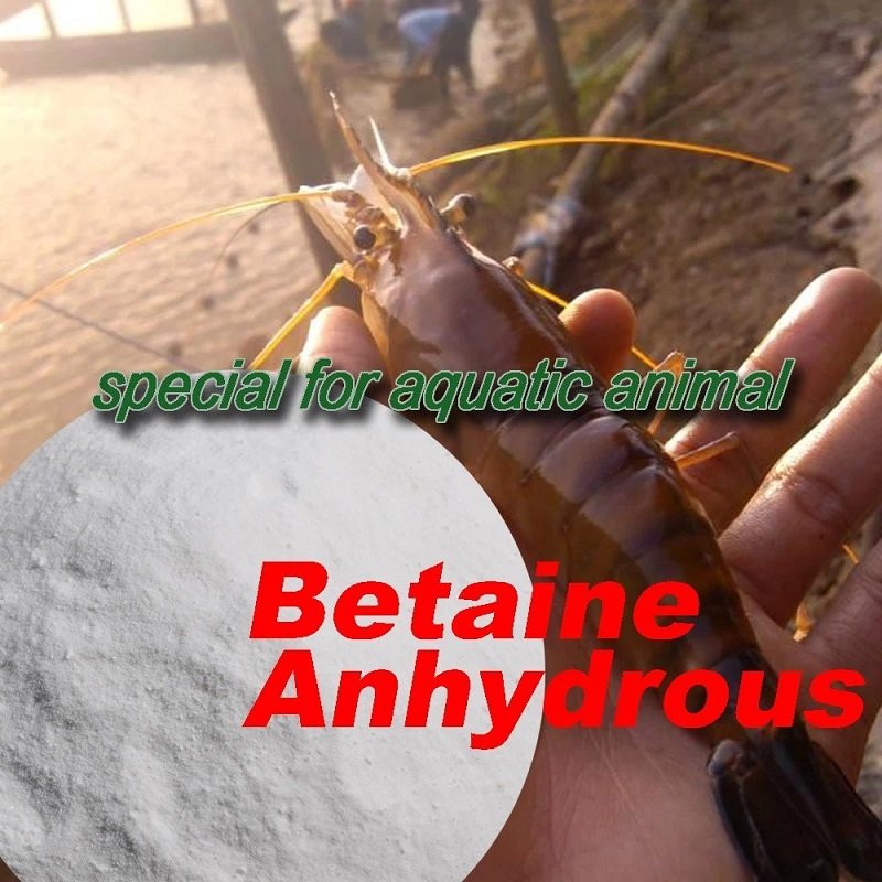 Wholesale Animal Feed 98.5% Purity Feed Grade Betaine Anhydrous