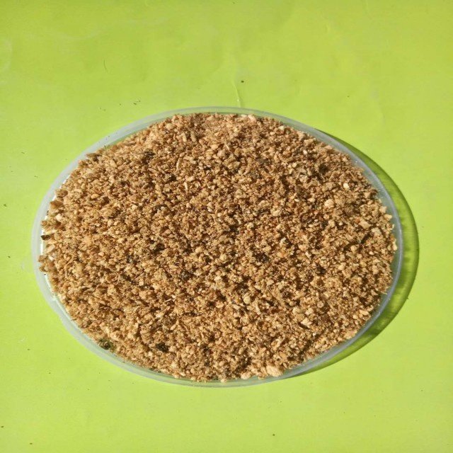 Concentrate for animal feed for probiotics poulthy