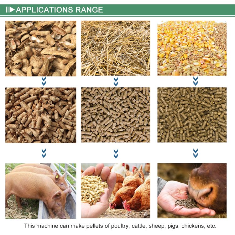 animal feed biomass pellet making machine for chicken pig diesel pelletizer machine poultry feed processing machinery price