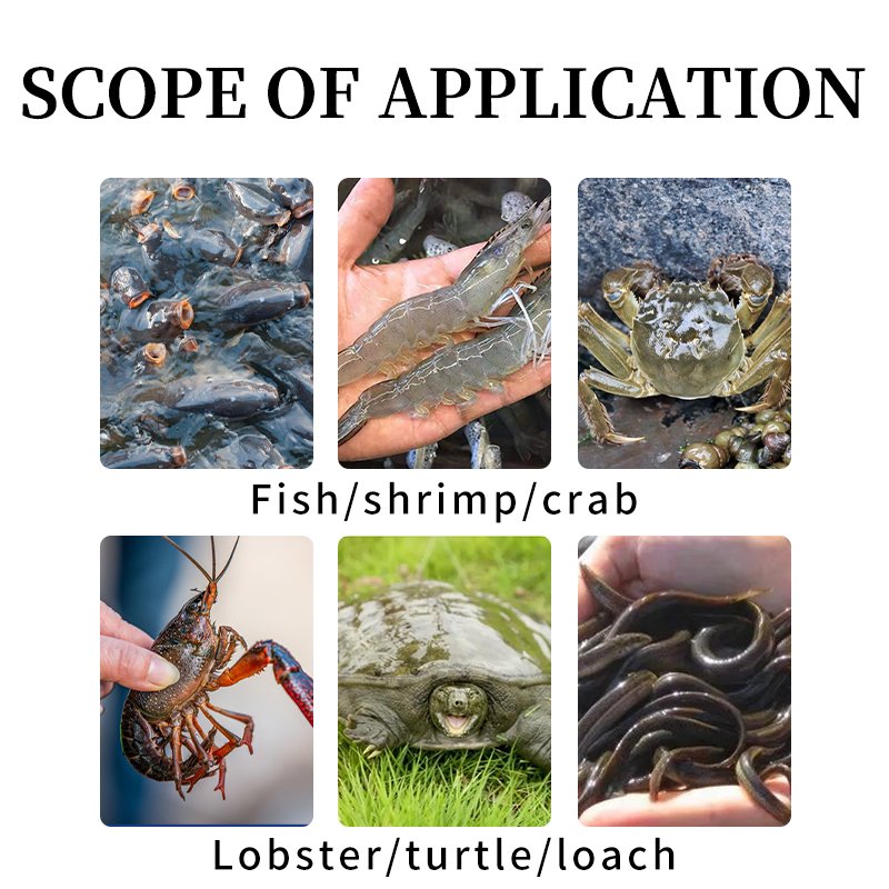 New arrival vitamin premix for fish tilapia aquaculture Aquatic Feed Additives fish growth booster