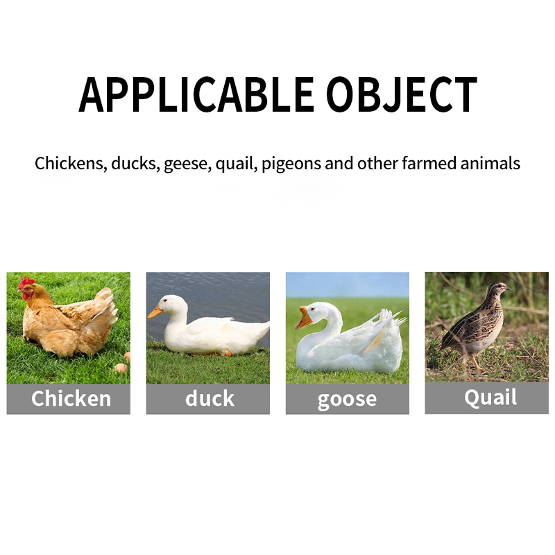 Hot sale premix premix chicken feed livestock feed livestock and poultry powder feed additives