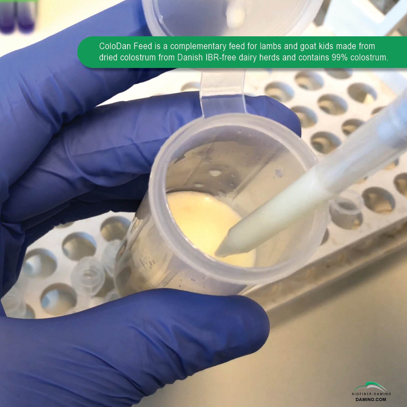 Complementary Feed ColodanFeed for Lambs and Goat Kids made of Dried Colostrum High Content of Immunoglobulin Nutrient 400 g