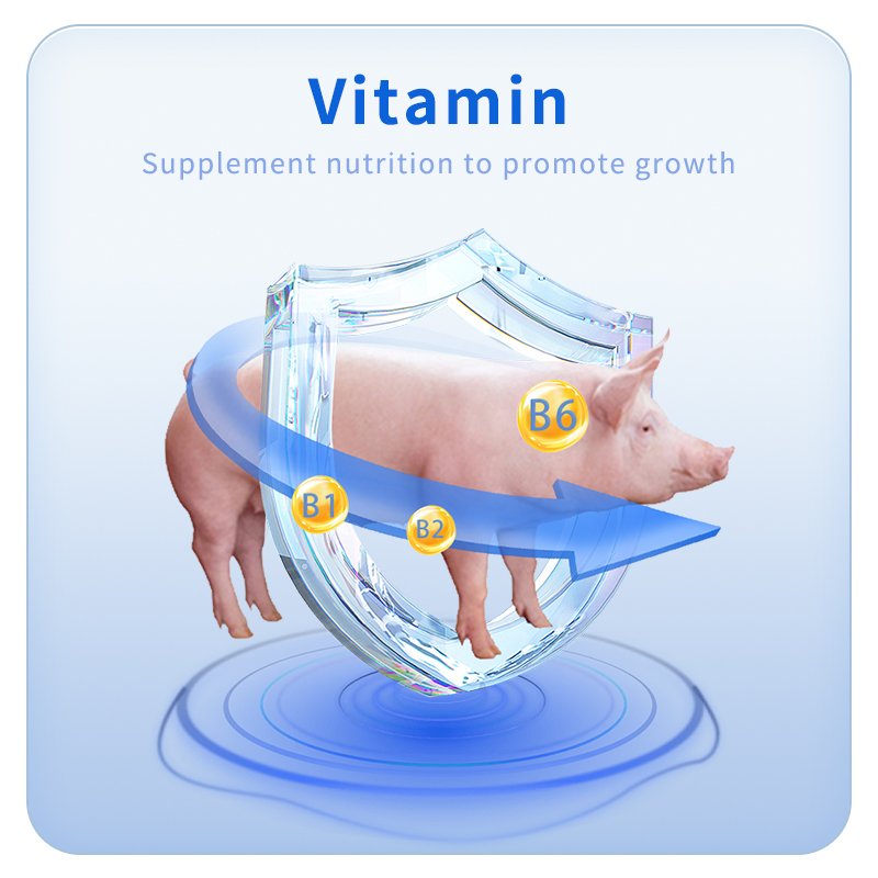 Veterinary Feed Additives for Poultry Pigs Vitamin Enzyme Amino Acid Increase Animal Feed Grade Vitamins Feed Grade Probiotics