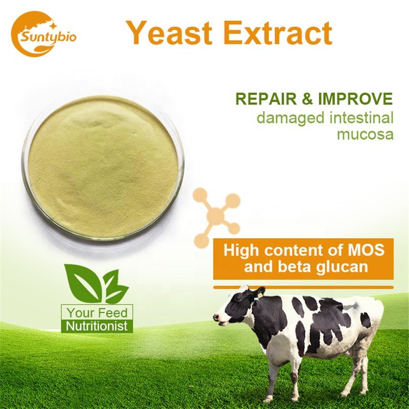 Animal Feed Yeast extract Price