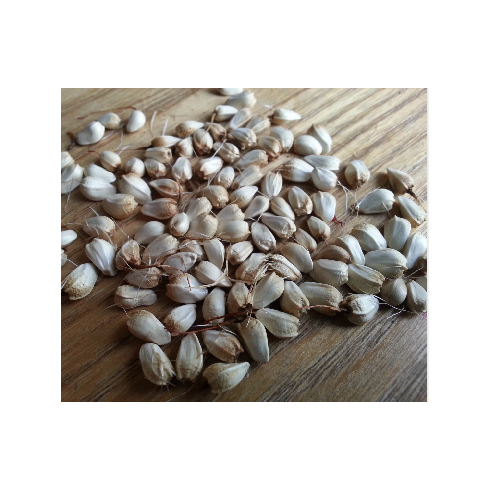 100% Top Grade Safflower Meal and Soybean Meal High Protein Animal Feed and Poultry Meal for Food and Use