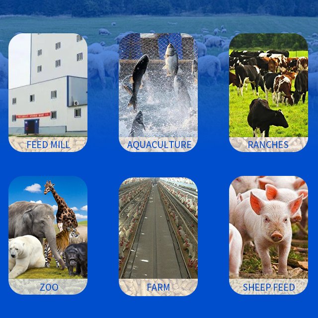 Animal feed mixer with grinder vertical animal feed mixer grain mixer feeding machine