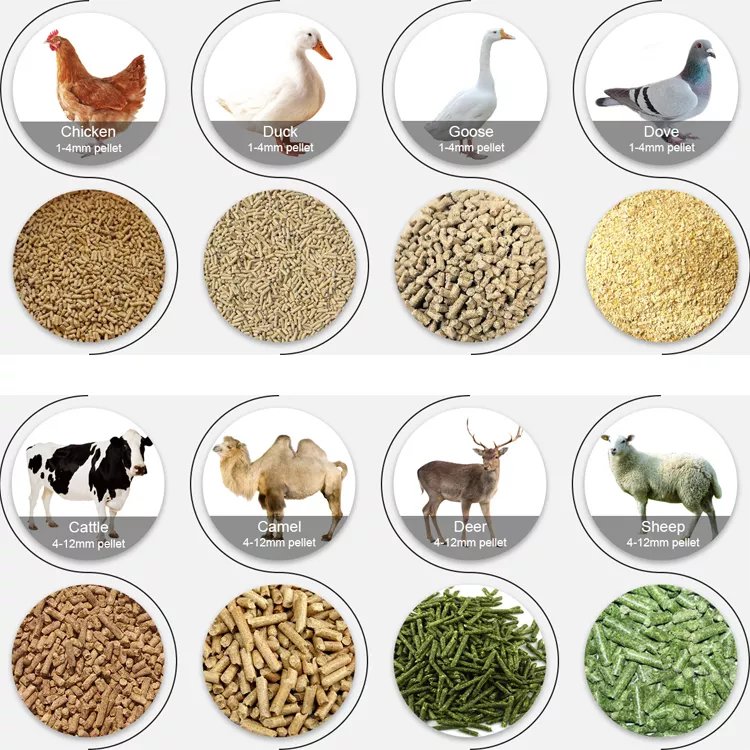 Feed processing wood pellet mill poultry cattle animal feed pellet Cow Feed Pallet machine