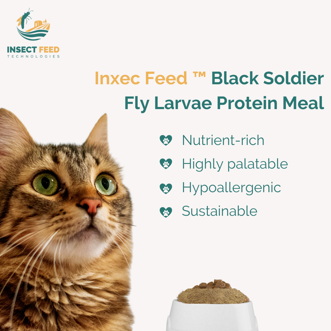 Wholesale Bag Customized Pack Milled Larvae for Pets Protein Powder Black Soldier Fly Natural Animal Feed Better Taste
