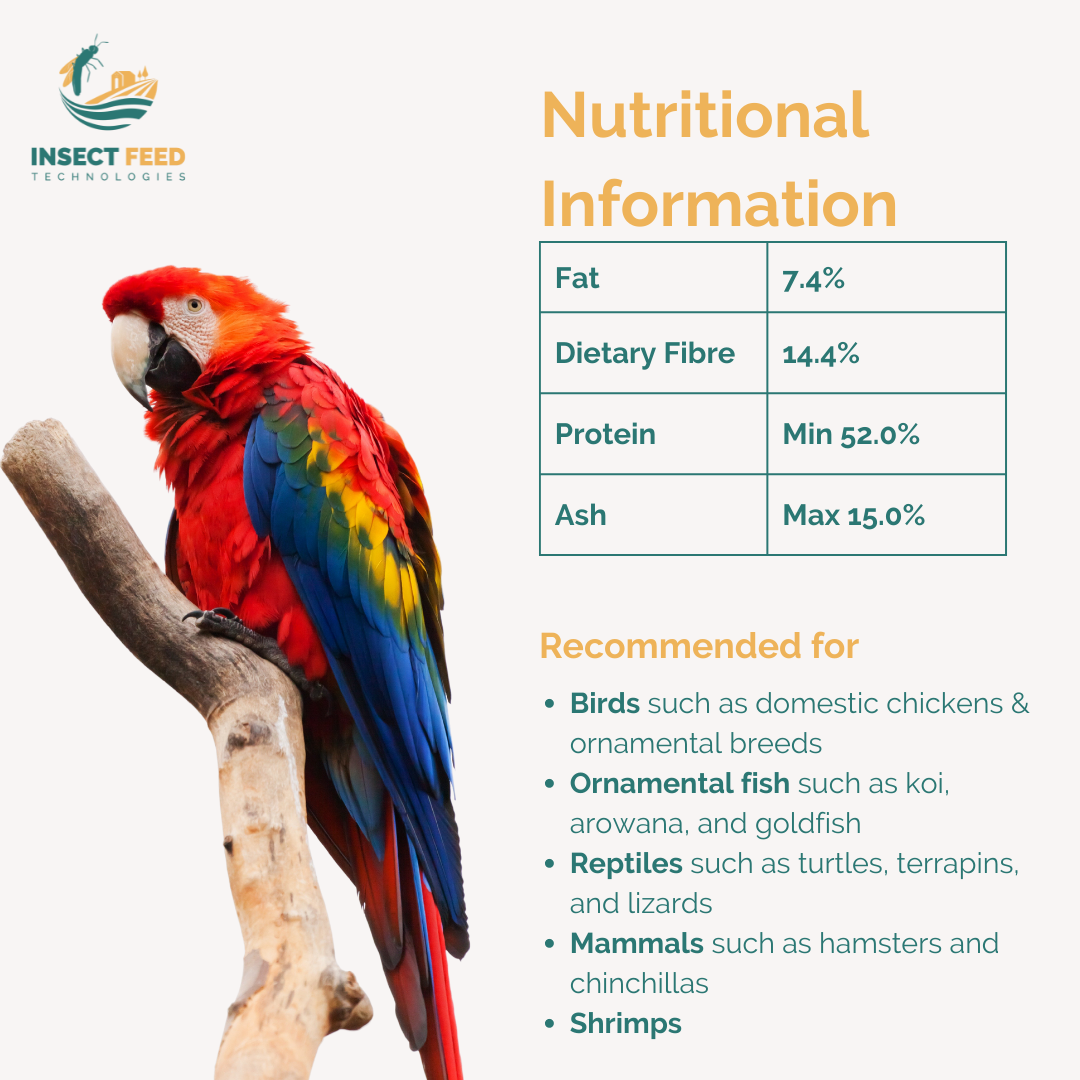 Wholesale Bag Customized Pack Milled Larvae for Pets Protein Powder Black Soldier Fly Natural Animal Feed Better Taste
