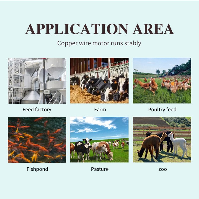 Wholesale Price 5 Tons Animal Feed Production Line Animal Feed Making Machine Manufacturing Plant