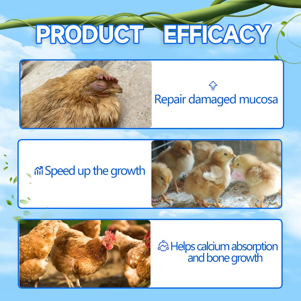 Prices in ghana custom flavor enhancement chicken poultry later feed manufacturing meal for animal feeds poultry vitamin d3