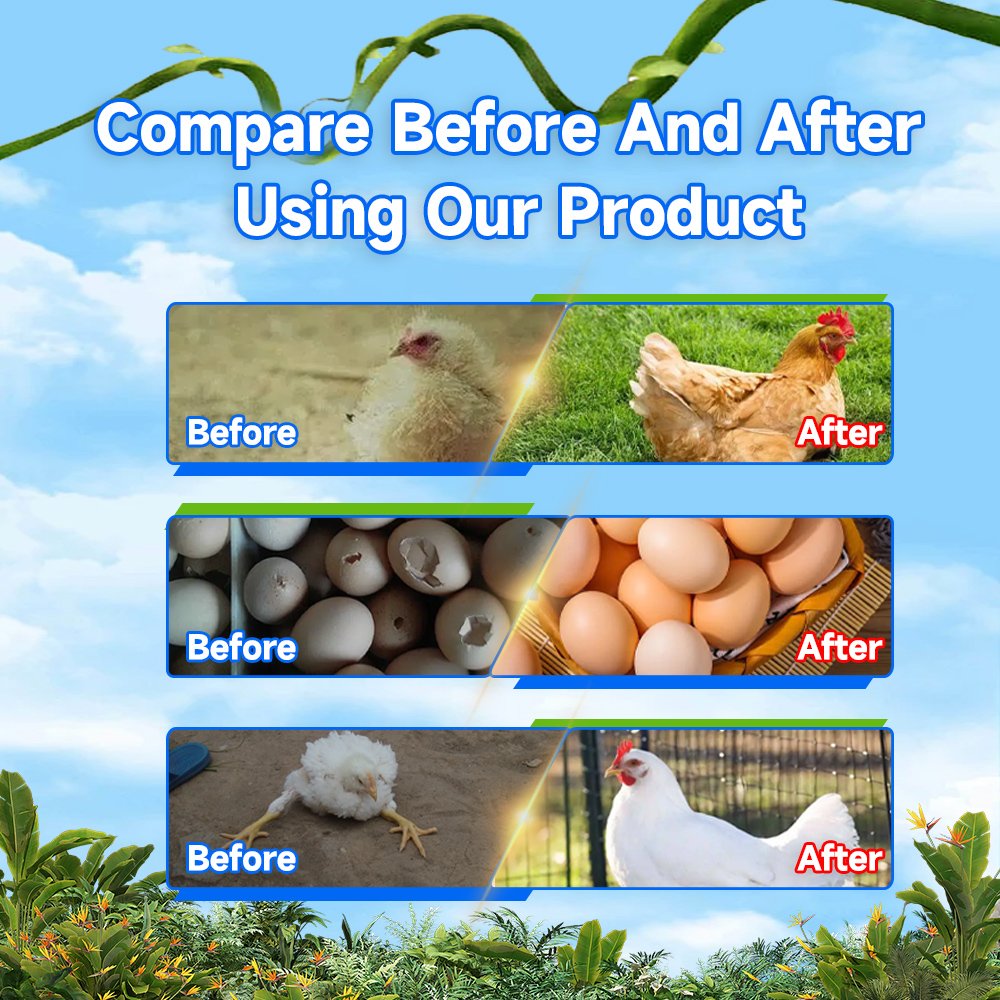 Prices in ghana custom flavor enhancement chicken poultry later feed manufacturing meal for animal feeds poultry vitamin d3