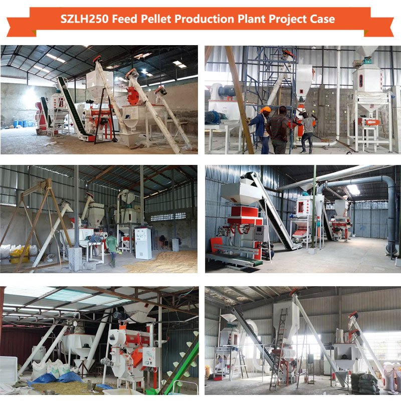 Chicken house feed line animal feed factory project 1 ton pellet plant