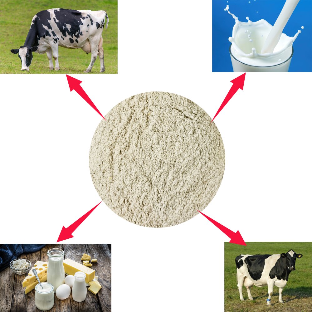 Nutrient-rich All-purpose High Efficiency Cow feed premix cattle feed