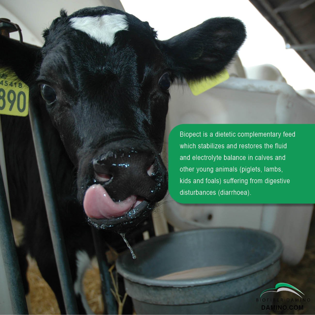 Biopect Dietetic Complementary feed Stabilization of Fluid and Electrolyte balance Effective against Digestive Disturbance 2,5kg