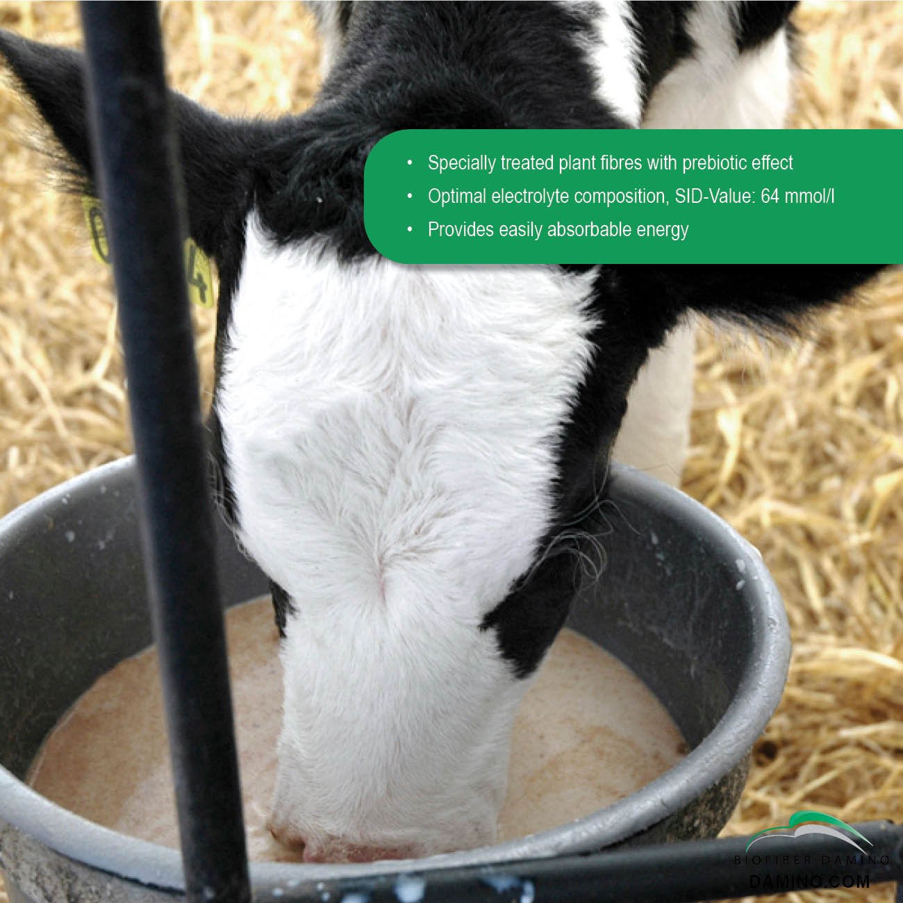 Biopect Dietetic Complementary feed Stabilization of Fluid and Electrolyte balance Effective against Digestive Disturbance 2,5kg