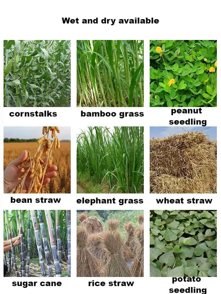 Straw Crushing and Silage Straw Crusher Home Use with Motor Core Component Animal Feed Grass Chaff Cutter Machine