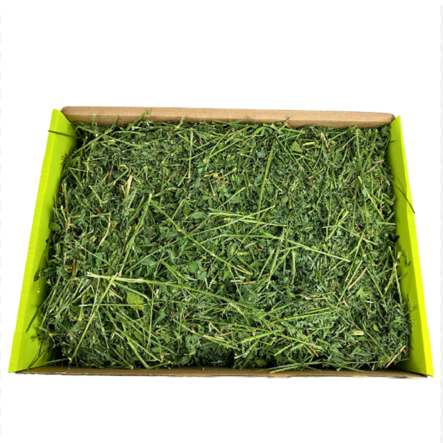 Best Supplier Cheap Alfalfa Hay / Alfalfa Hay Animal Feed / Premium Alfalfa Hay in bales For Sale