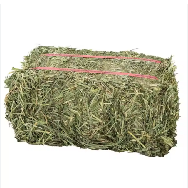 Best Supplier Cheap Alfalfa Hay / Alfalfa Hay Animal Feed / Premium Alfalfa Hay in bales For Sale