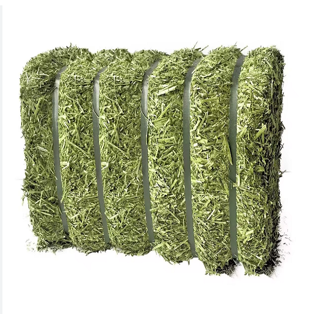Best Supplier Cheap Alfalfa Hay / Alfalfa Hay Animal Feed / Premium Alfalfa Hay in bales For Sale