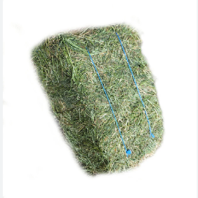 Best Supplier Cheap Alfalfa Hay / Alfalfa Hay Animal Feed / Premium Alfalfa Hay in bales For Sale