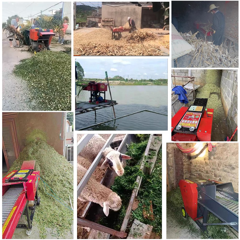 Chaff Cutter Machine Cutting Machine Mini Animal Feed Grass Silage Paddy Motor/Diesel Engine Chaff Cutter